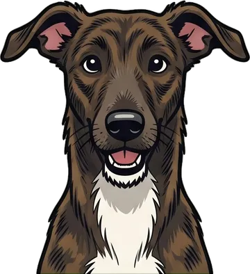 Bonnie, the deerhound lurcher